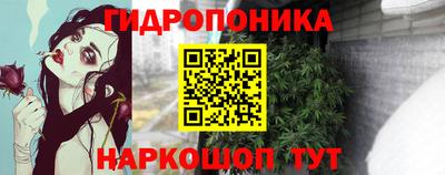 PSILOCYBIN Дубна